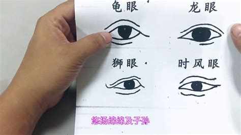 龍眼面相男